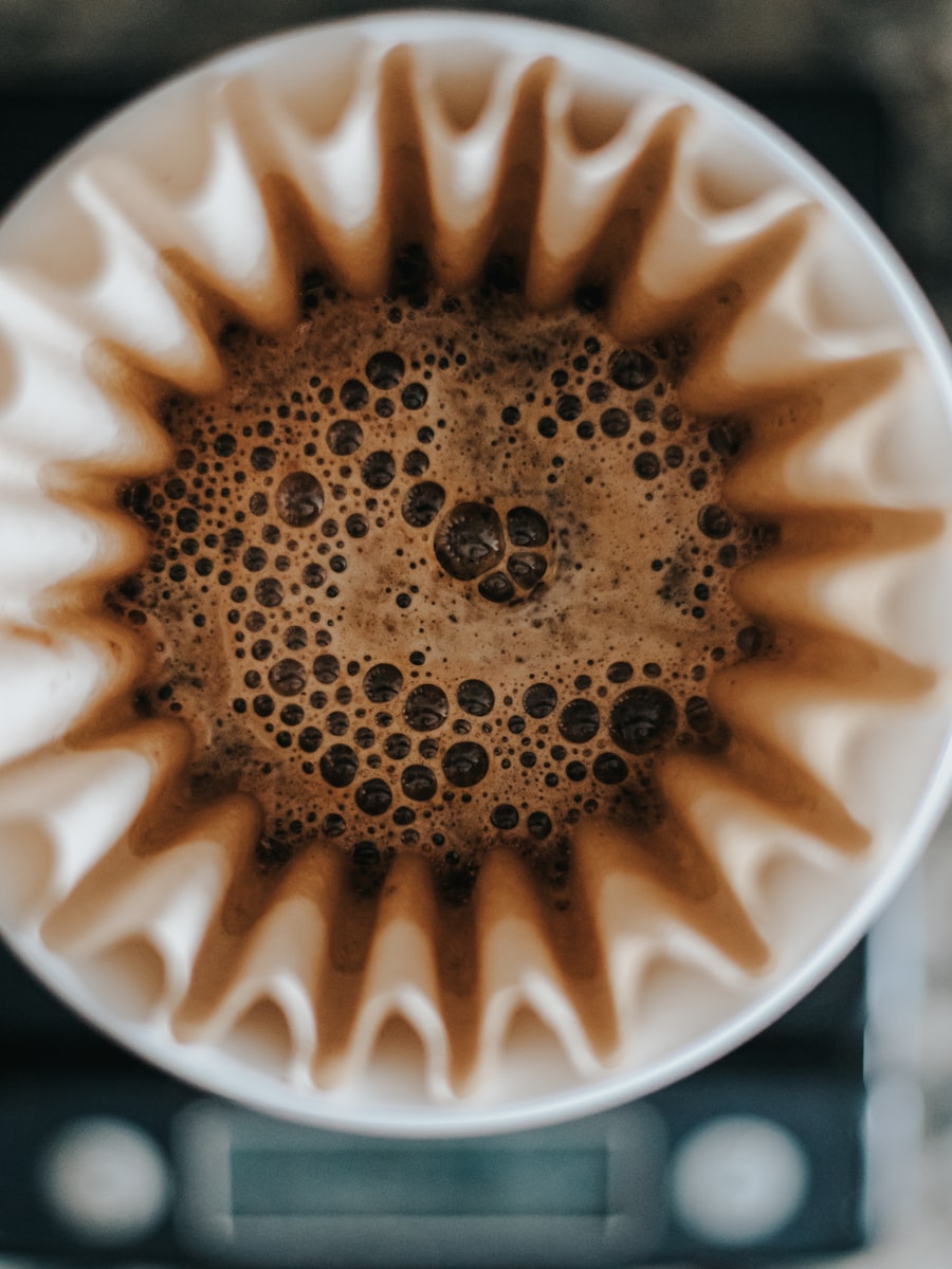 Bloom Light Roast